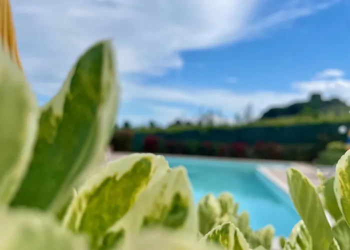 Vigneto - Italian Restaurant & B&B