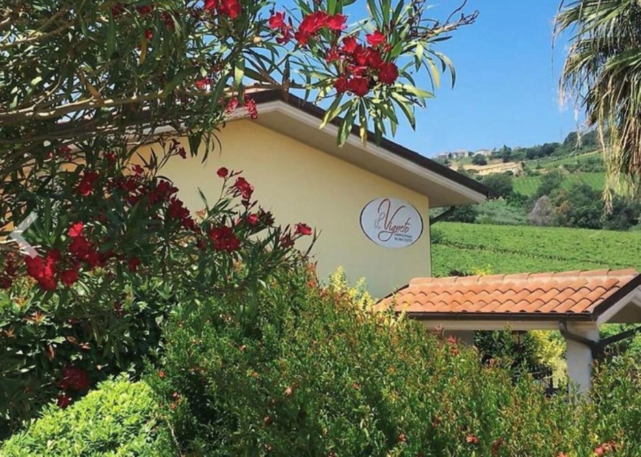 Vigneto - Italian Restaurant & * Villa Rosa Di Martinsicuro