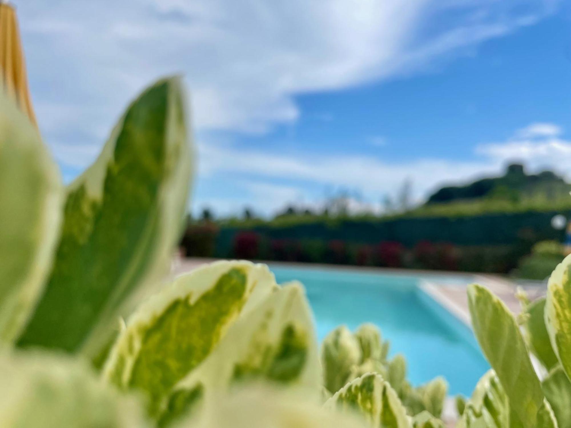 Vigneto - Italian Restaurant & Villa Rosa Di Martinsicuro