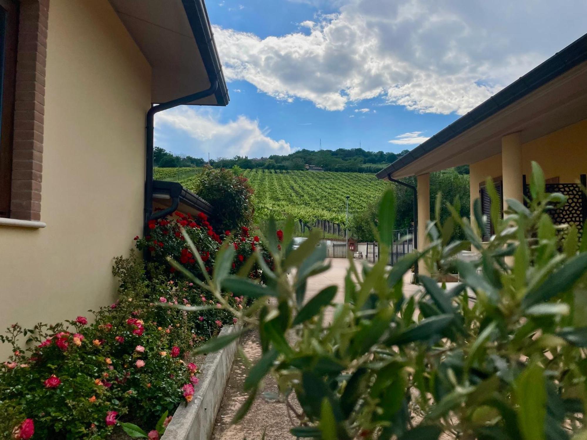 Bed & Breakfast Vigneto - Italian Restaurant &